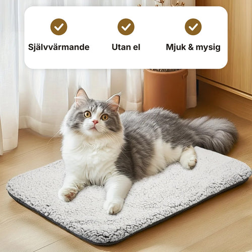 Självvärmande kattfilt utan el – mjuk och mysig